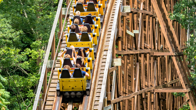Kings Island's The Beast roller coaster