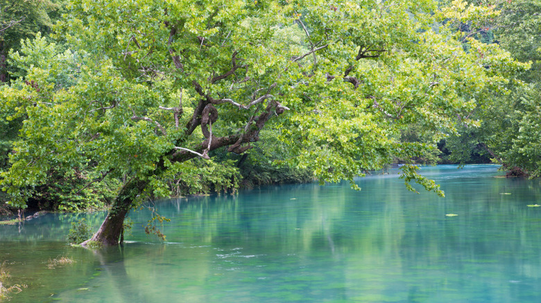 Big Spring, part of the Ozark National Scenic Riverways in Missouri