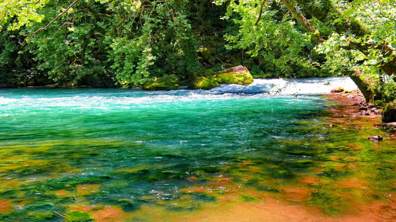 Big Spring in arresting colors