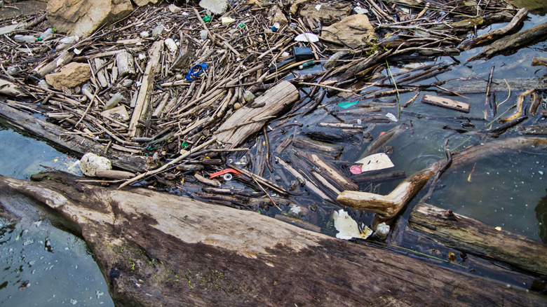 Rubbish and debris floating in Ohio River