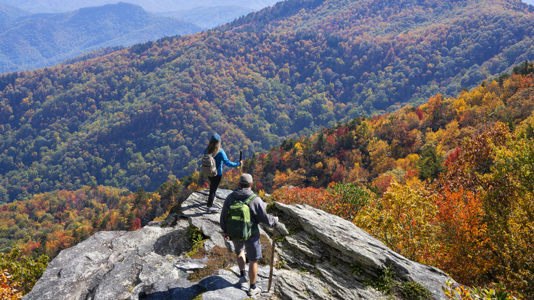Friends hiking near Blue Ridge Parkway with fall colors