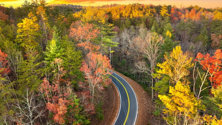Blue Ridge Parkway North Carolina in fall