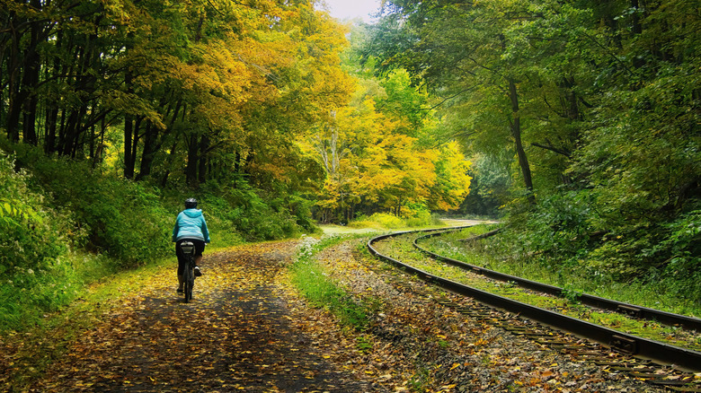 Cyclist on the Great Allegheny Passage
