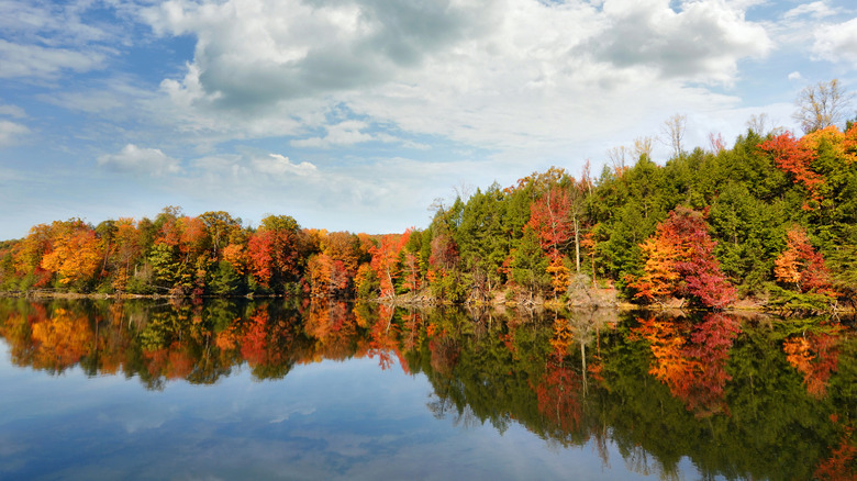 Bays Mountain Lake with vibrant orange foliage during fall on a sunny day.