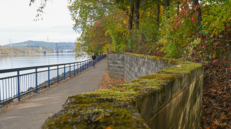 Tennessee Riverwalk view