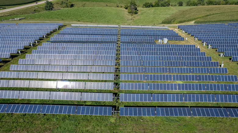 A grass field with rows of solar panels in Driftless, Wisconsin