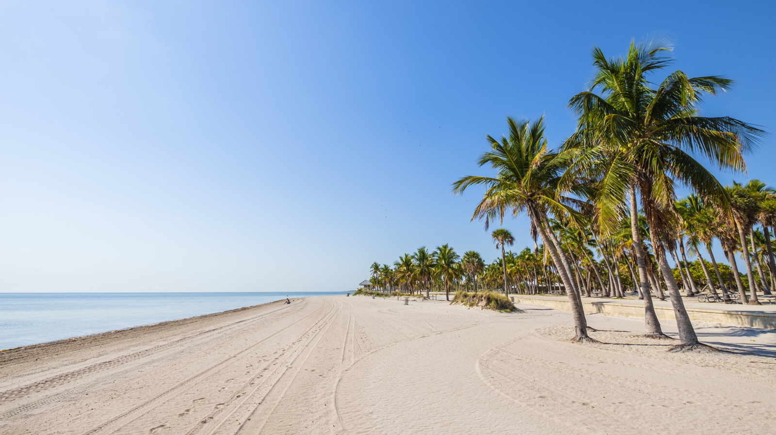 This Coastal Town Was Just Named the Wealthiest Suburb in Florida, image size:1600x898