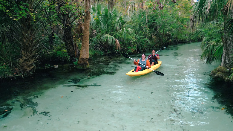 People kayaking down a river in Florida surrounded by tropical plants