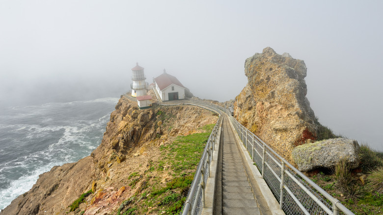 Fog sits above the lighthouse at Point Reyes, California