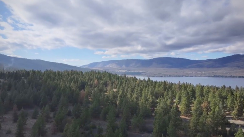 A drone view of forest and a campground on Flathead Lake, Montana