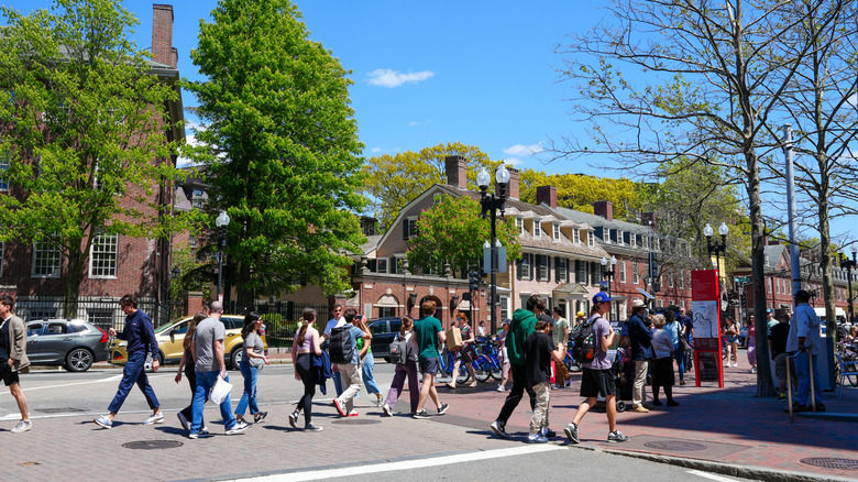 Pedestrians cross a sunny street around Harvard Square, Massachusetts