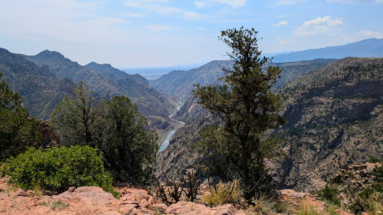 View of the Royal Gorge in Colorado