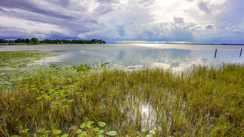 Beautiful Lake Eustis in Florida