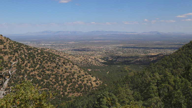 Scenic view over Sierra Vista from the Hamburg Trail in Ramsey Canyon Preserve, Arizona