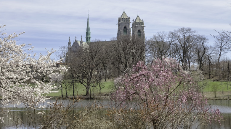 Flowering cherry blossom trees with a Gothic cathedral in the background at Branch Brook Park, New Jersey