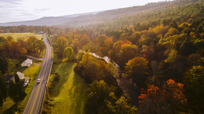 A road runs through a woodland in the Pocono Mountains of Pennsylvania