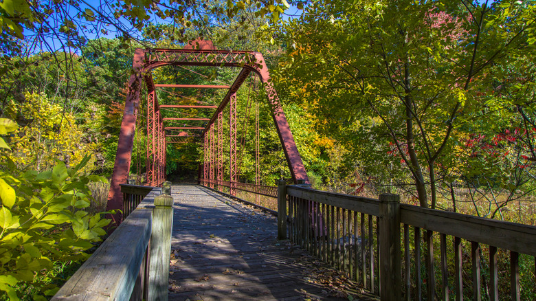 A historic bridge in Battle Creek that runs through a park on the North Country National Scenic Trail