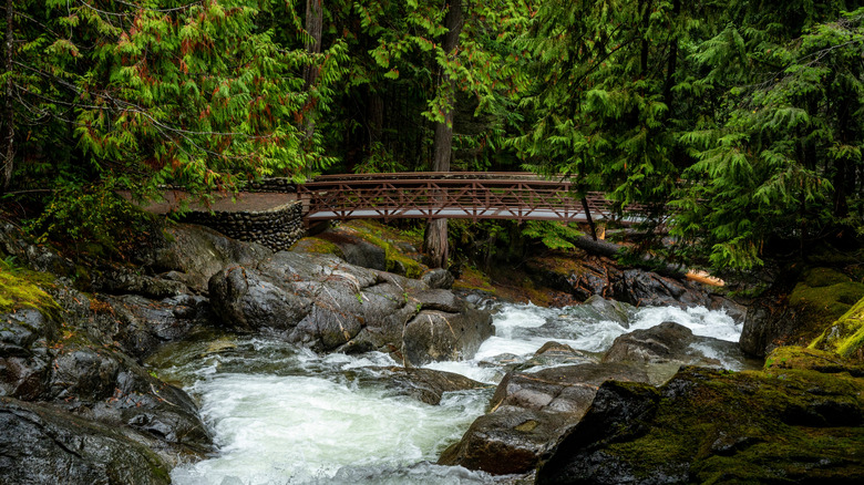 Deception Falls along Highway 2