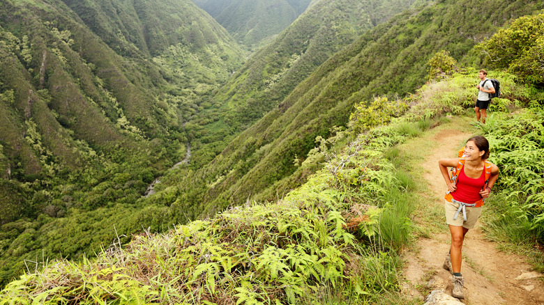 Hikers walking in Hawaiian forest
