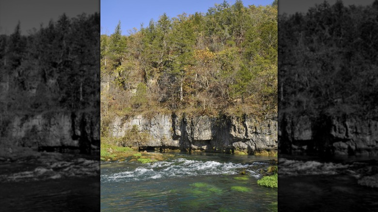 Spring flows into the Current River
