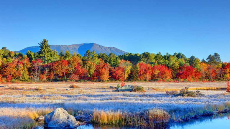 Frost on the valley floor at Baxter State Park