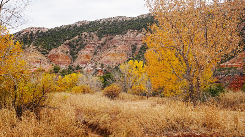 The landscape at Palo Duro Canyon State Park