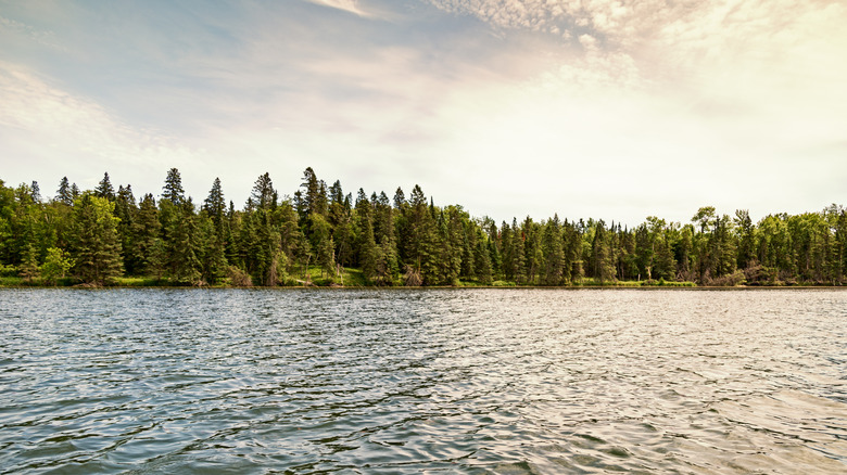 Lake Itasca with trees lining the banks at Itasca State Park
