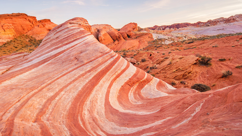 A sandstone at Valley of Fire State Park