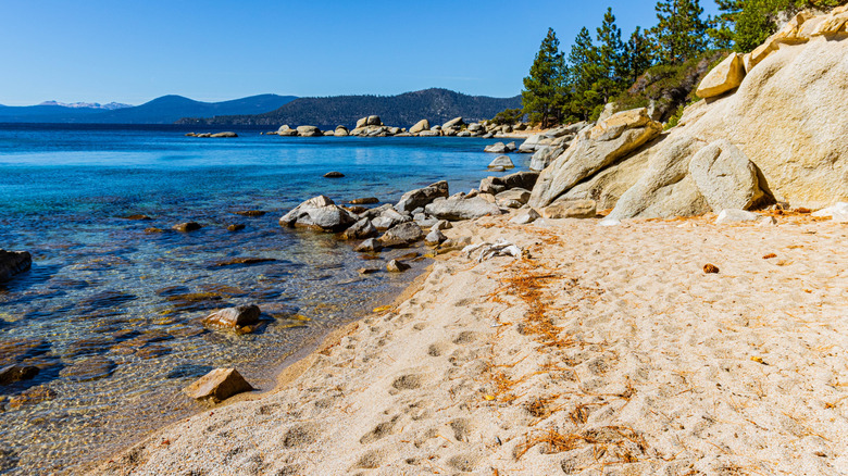 Boulders and driftwood on sands of Hidden Beach, Lake Tahoe