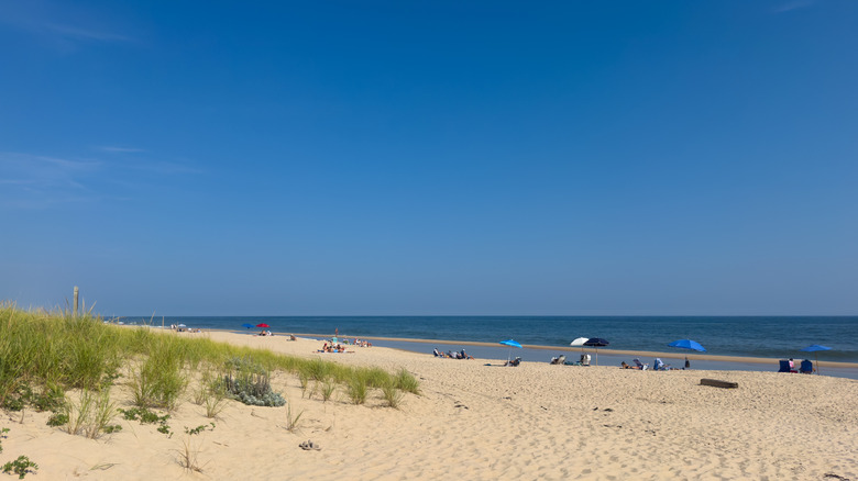Egypt Beach in East Hampton during summer