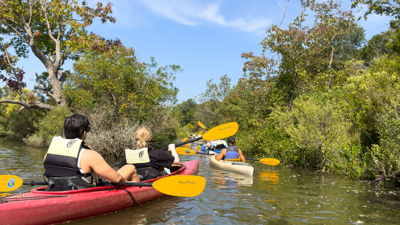 Kayakers on the Potomac River