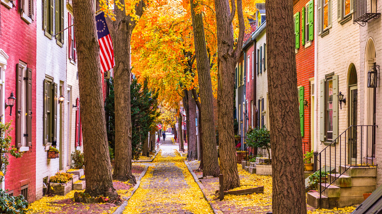 alleyway in Philadelphia during fall