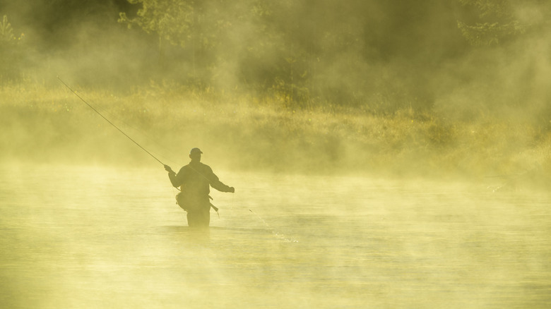 Early sunrise colors and fog seen as a man is fly fishing on the Madison River in Yellowstone National Park.