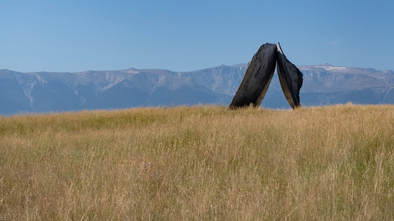 "Inverted Portal" sculpture by Ensemble Studio at Tippet Rise Art Center, Fishtail, Montana