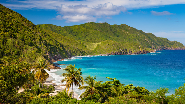 A stunning view of a tropical island in the U.S.