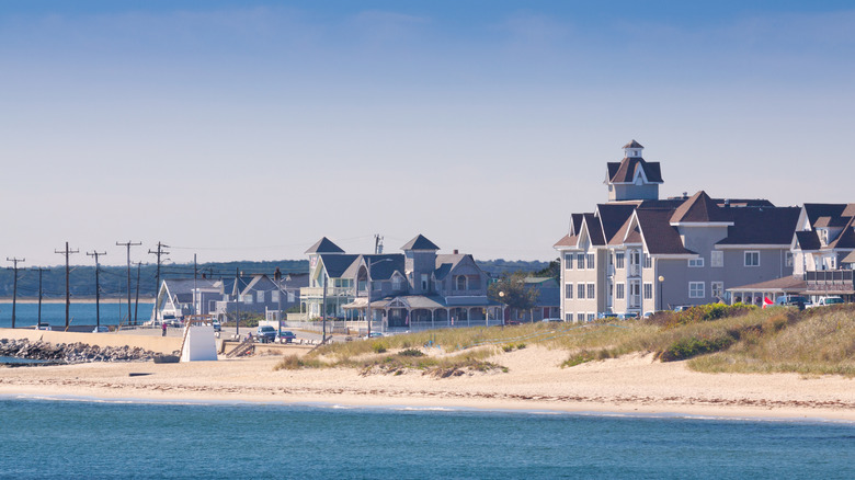 The sandy coastline on Martha's Vineyard