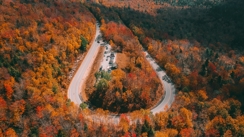 A highway switchback through blazing autumnal forest in rural New Hampshire