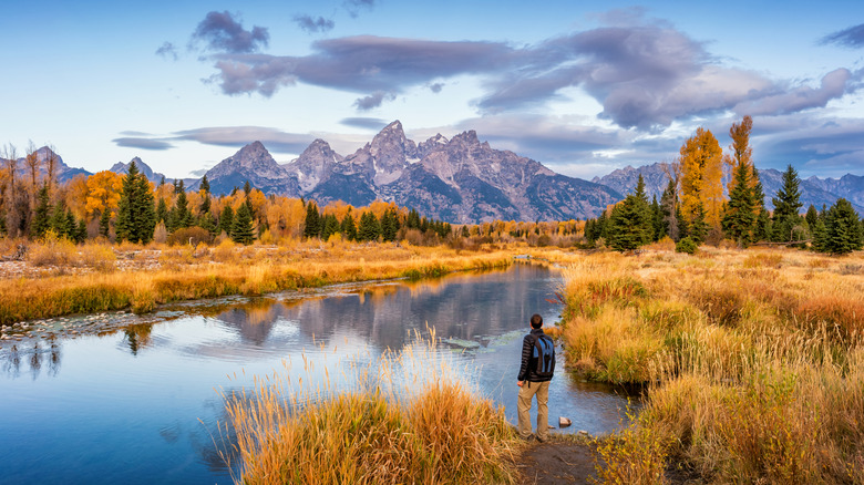 A man looks at mountains and a lake surrounded by a prairie and forest in Wyoming