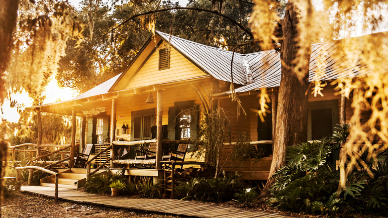 rustic cabin surrounded by trees at sunset