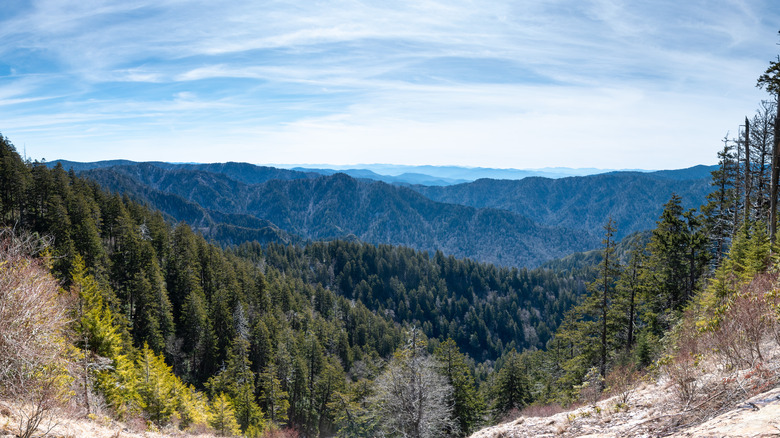 View of the mountains from Alum Cave Trail