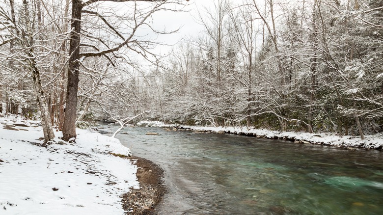 Great Smoky Mountains in winter