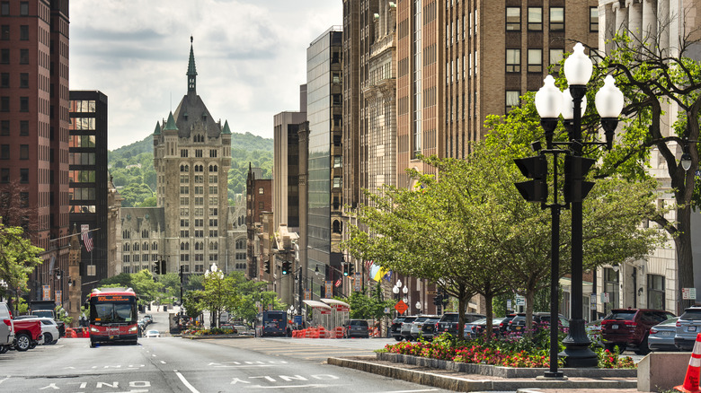 Albany, New York tree-lined street