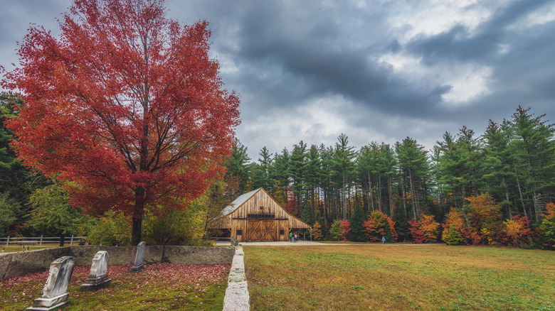 Cemetery and cabin in White Mountains, New Hampshire