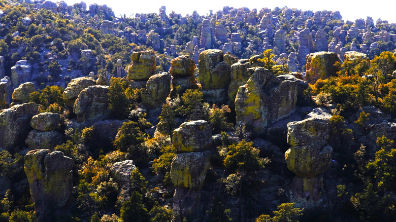 Bonita Canyon in Chiricahua National Monument