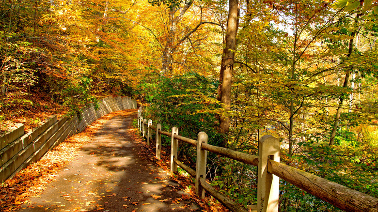 A trail in Pennypack Park, Philadelphia with fall colors