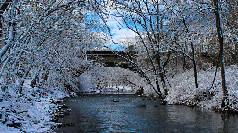 The Frankford Avenue Bridge, Philadelphia in winter