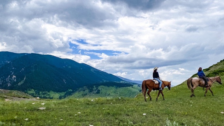 Visitors riding on horses in the mountains at Eatons' Dude Ranch