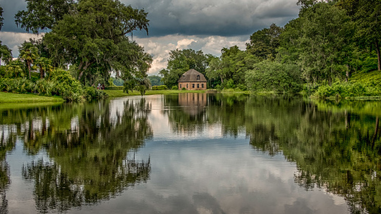 A view of the Middleton Place plantation as seen along the Ashley River
