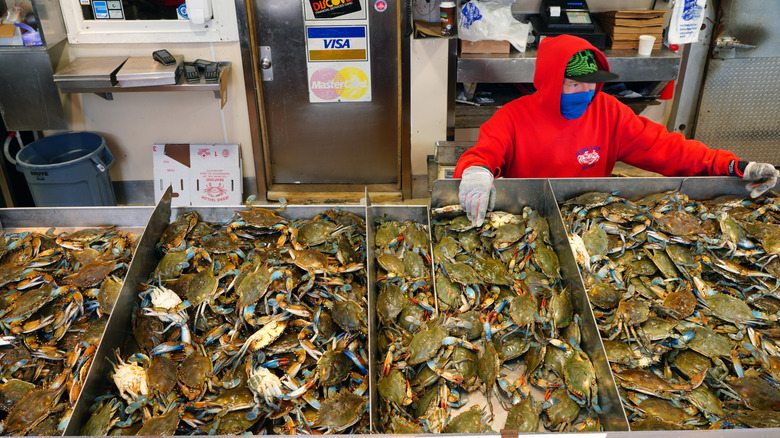 A person selling crabs at a seafood stall at the Municipal Fish Market﻿, Washington, D.C.