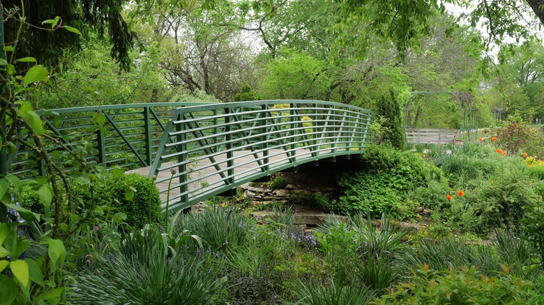 Pedestrian bridge through greenery in Overland Park Arboretum and Botanical Garden